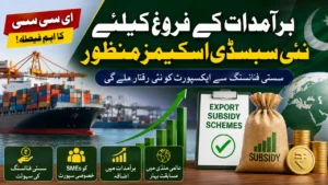 ECC Approves New Export Subsidy Schemes to Boost Pakistan’s Exports